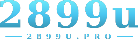 2899u logo